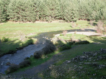 paisaje-Tejera-negra.